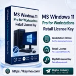 MS Windows 11 Pro for Workstations Retail License Key
