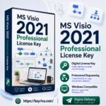 MS Visio 2021 Professional License Key