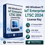 MS Windows 11 IoT Enterprise LTSC 2024 License Key