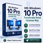 MS Windows 10 Pro Transferable Retail License Key