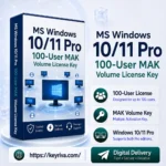 MS Windows 10/11 Pro 100-User MAK Volume License Key