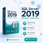 MS SQL Server 2019 Standard License Key