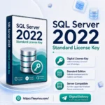 SQL Server 2022 Standard License Key